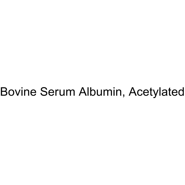Bovine Serum Albumin, Acetylated (Ac-BSA)